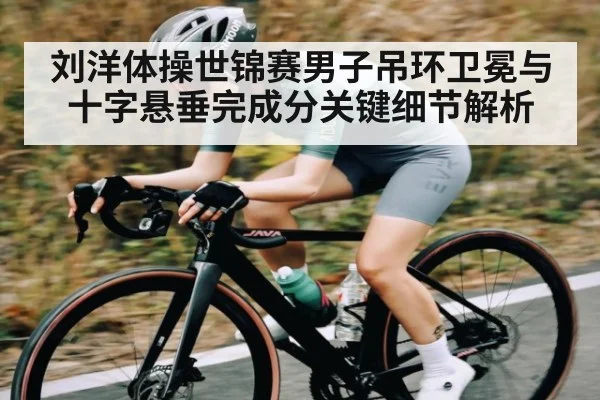 刘洋体操世锦赛男子吊环卫冕与十字悬垂完成分关键细节解析