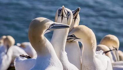 爱游戏app-【欧洲杯】姆巴佩+本泽马进球无效 法国中柱胜德国